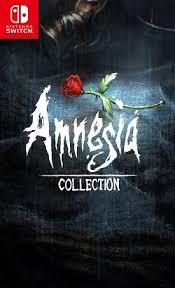 Amnesia_Collection_NSW-WiiERD